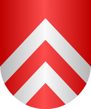 ESCUDO ALEATORIO